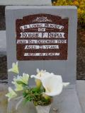 image of grave number 736150